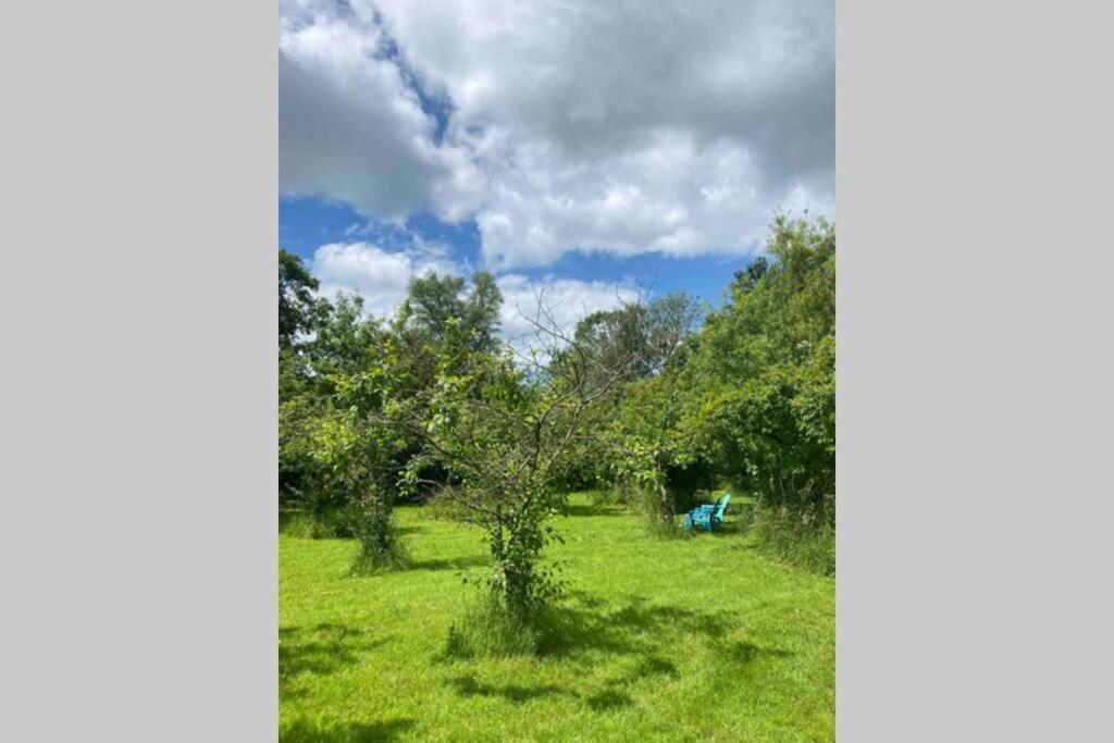 Gorgeous Comfortable Barn With Huge Private Orchard In Quiet Suffolk Location Depden Kültér fotó