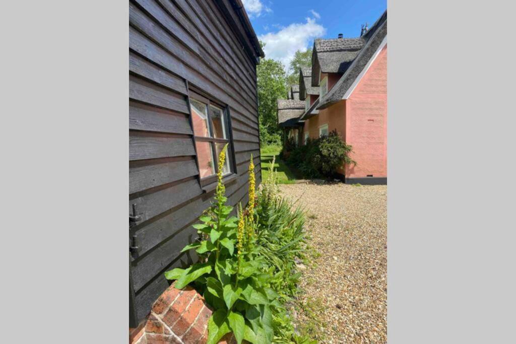 Gorgeous Comfortable Barn With Huge Private Orchard In Quiet Suffolk Location Depden Kültér fotó